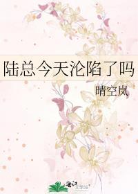 陆总今天沦陷了吗免费阅读