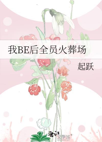 我BE后全员火葬场了类似高质量古言