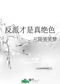 反派才是真绝色晋江