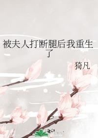 被夫人打断腿后我重生了类似文