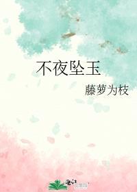 不夜坠玉免费笔趣阁