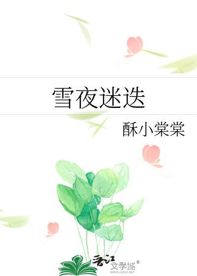 雪夜迷迭在线阅读免费全文