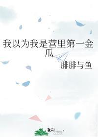 失忆后误认死对头为道侣百度
