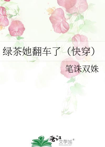 绿茶她翻车了快穿gl笔诛