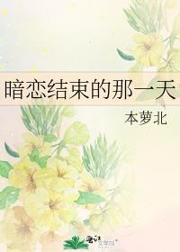 暗恋结束的那一天笔趣阁免费