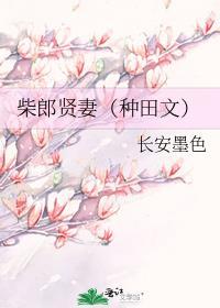 柴郎贤妻种田文免费阅读