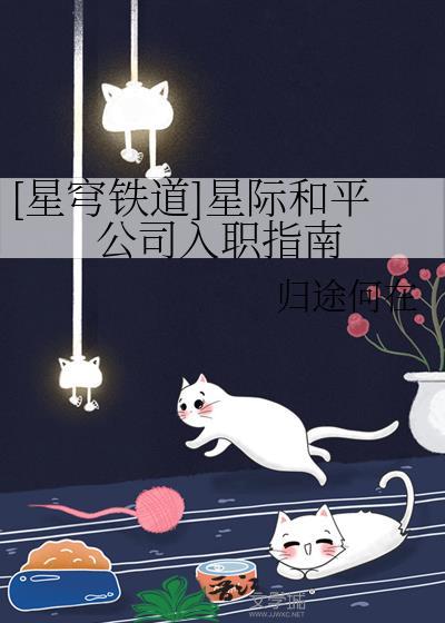 星际公司怎么样
