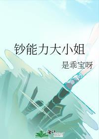 钞能力玩家