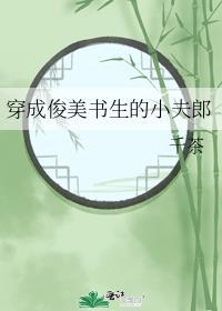 穿成俊美书生小夫郎全本