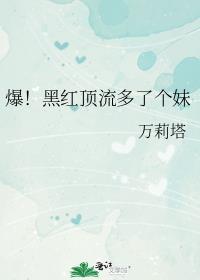 爆黑红顶流多了个妹晋江