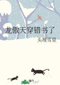 龙傲天穿错书了txt百度