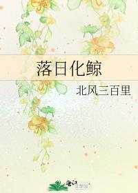 日落与鲸的意思