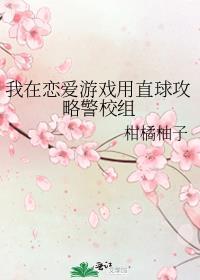 我在恋爱游戏用直球攻略警校组盘