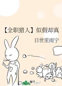 借鉴全职猎人