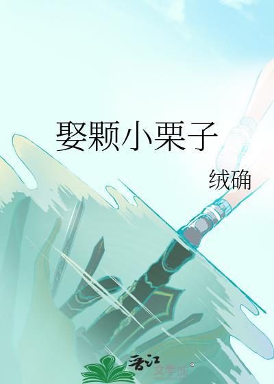 娶颗小栗子讲的什么