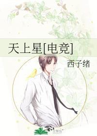 天上星电竞番外TXT