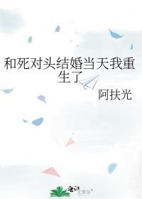 和死对头结婚当天我重生了文档