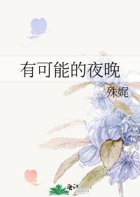 有可能的夜晚歌词