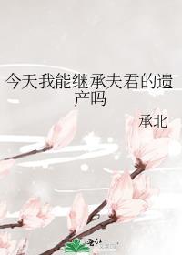 今天我能继承夫君的遗产吗晋江