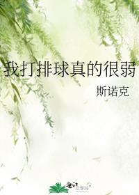 我打排球真的很弱免费阅读