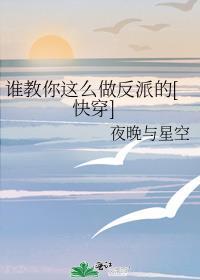 谁教你这么做反派的快穿夜晚