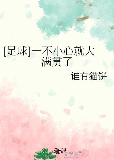 足球一不小心就大满贯了38章