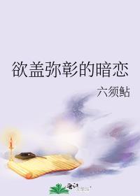 欲盖弥彰byh_mark