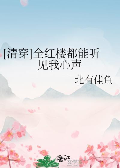 清穿红楼都宠我完结本免费阅读