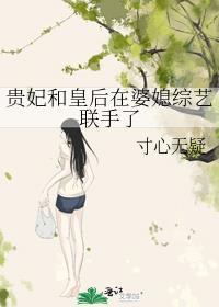 贵妃与妃