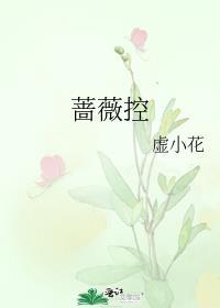 蔷薇控 免费阅读笔趣阁