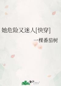 裙钗之下石阿措百度