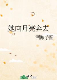 她向月亮奔去番外