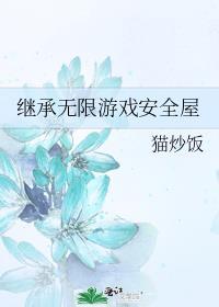 继承无限游戏安全屋猫炒饭