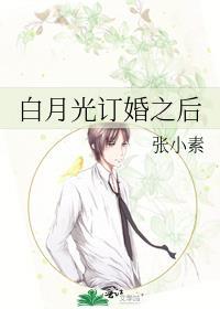 白月光婚后是舔狗早鹿全文免费阅读