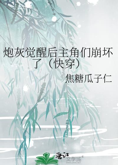 炮灰觉醒后主角们崩坏了快穿
