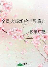 全天下都火葬场