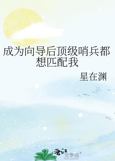 成为向导后顶级哨兵都想匹配我百度