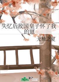 失忆后我成了敌国太子的外室