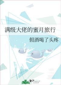 满级大佬的蜜月旅行 假酒喝了头疼