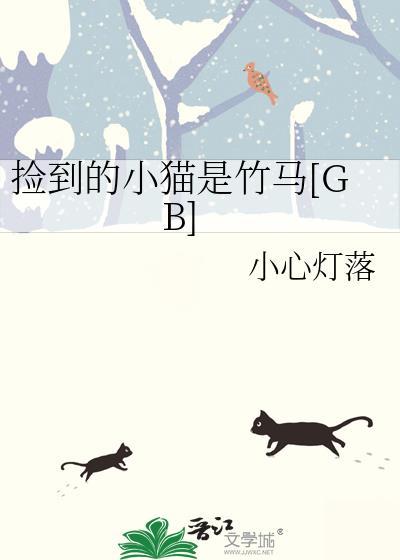 捡到小猫咪代表什么