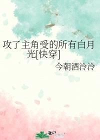 攻了主角攻的每个白月光