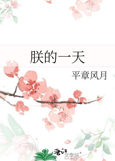 朕的一天讲的什么