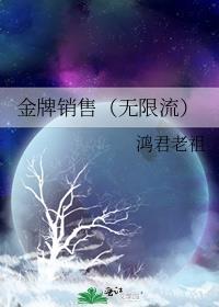 金牌销售(无限流)TXT