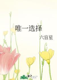 唯一的选项