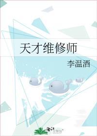 天才维修师 百度