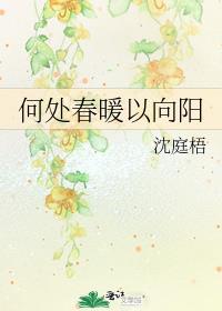 何处春暖以向阳免费阅读