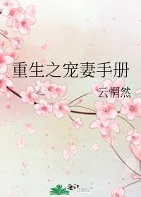 重生之宠妻手册TXT百度免费