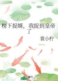 榜下捉婿笔趣阁