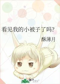 看见我的小被子了吗是双洁吗
