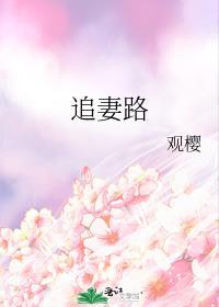 豪门总裁甜宠追妻路